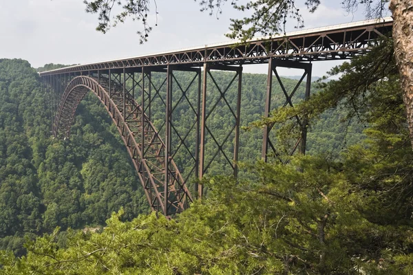 Puente del Garganta del Nuevo Río — Foto de Stock