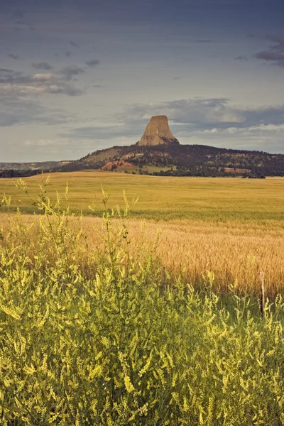 Devil's Tower National Monument — Stock Photo, Image