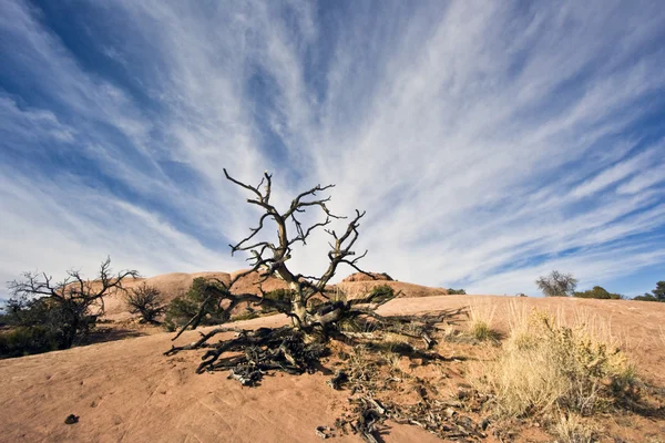 Nuvole viste nel Parco Nazionale del Canyonlands — Foto Stock