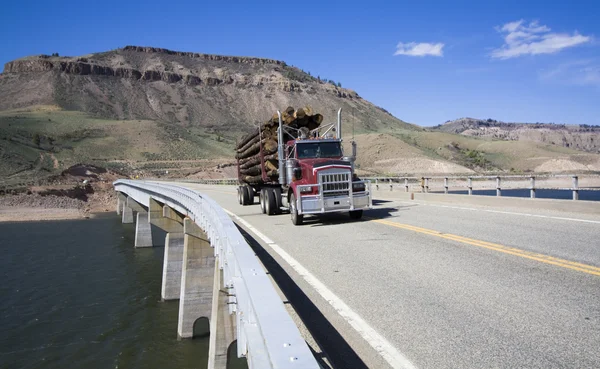 Vrachtwagen op de brug — Stockfoto