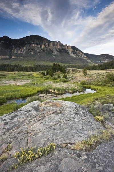 Landscape of Wyoming — Stock Photo, Image