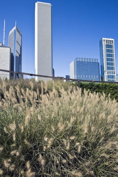 Chicago skyscrapers from Millenium Park — Stock Photo, Image