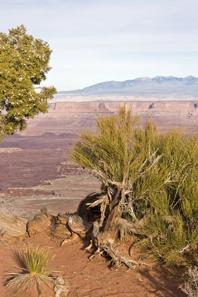 Krajobraz w canyonlands national park — Zdjęcie stockowe