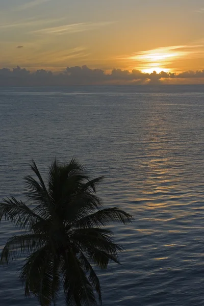 Classic sunset - Florida — Stock Photo, Image