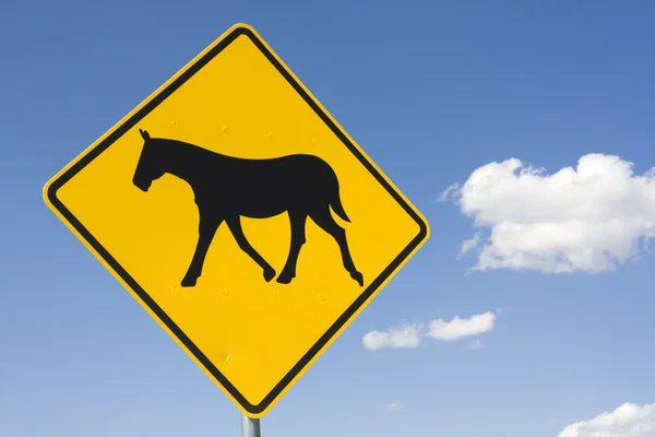 Dikkatli ol - atları yolda — Stok fotoğraf