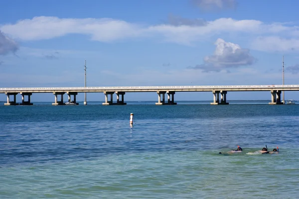 Підводним плаванням у Флориді — стокове фото