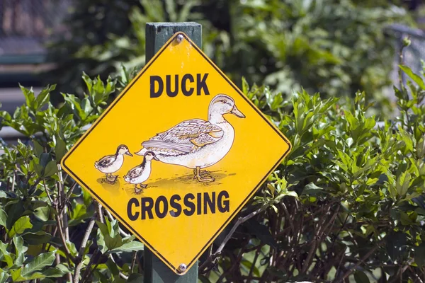 stock image Duck crossing sign