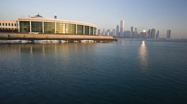 Аквариум Шедда в Чикаго — стоковое фото