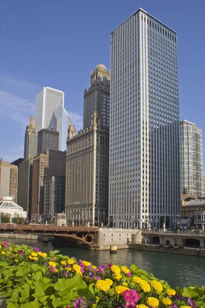 Chicago przez rzekę — Zdjęcie stockowe