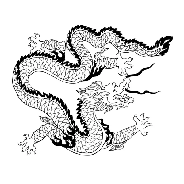 Çin ejderhası. vektör illüstrasyonu — Stok Vektör