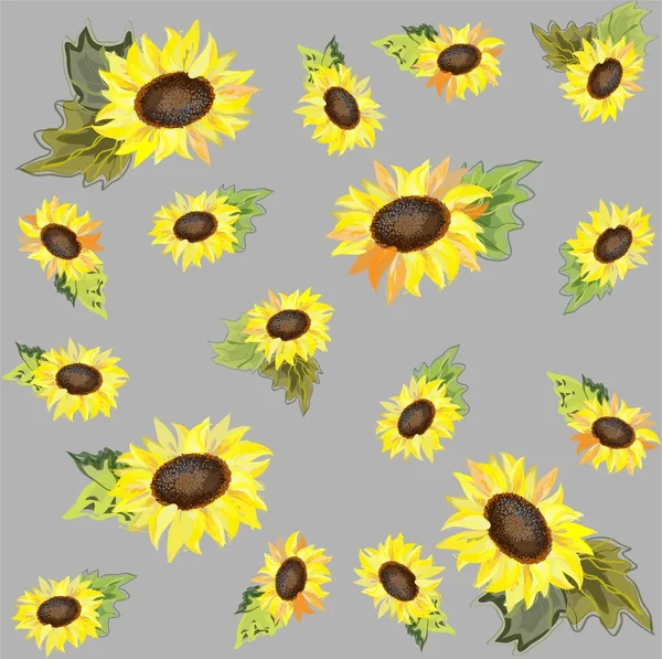 Hintergrund. Sonnenblume. — Stockvektor