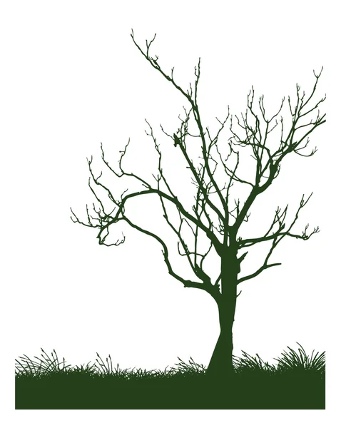 Дерево — стоковий вектор