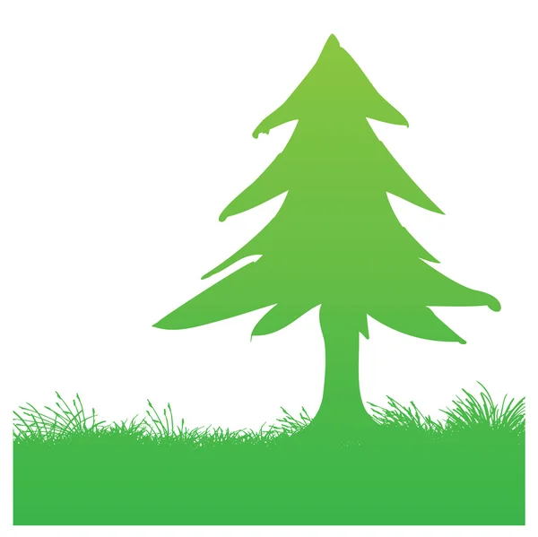 Albero di pino — Vettoriale Stock