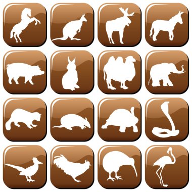 Animals clipart