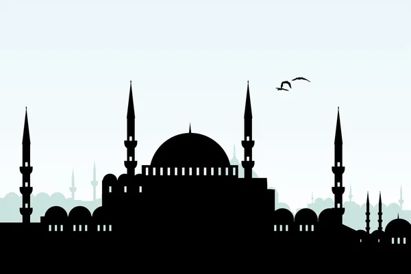 İstanbul. — Stok Vektör