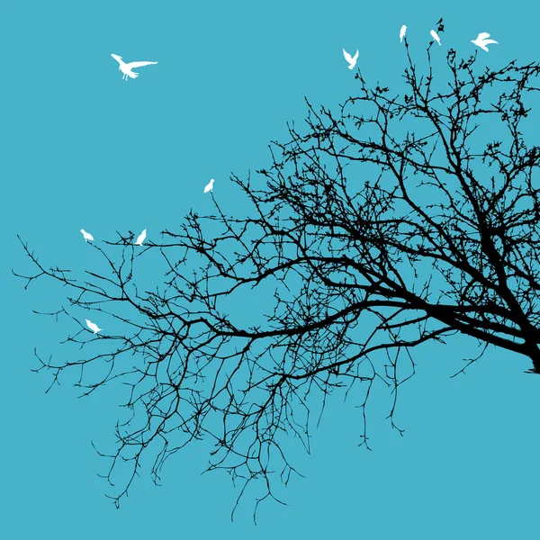 Fåglar på grenar — Stock vektor