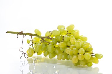 Fresh juisy grape isolated on white clipart