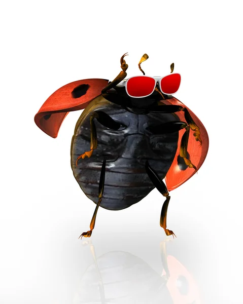 Ladybirds wearing shades — Stock Photo, Image