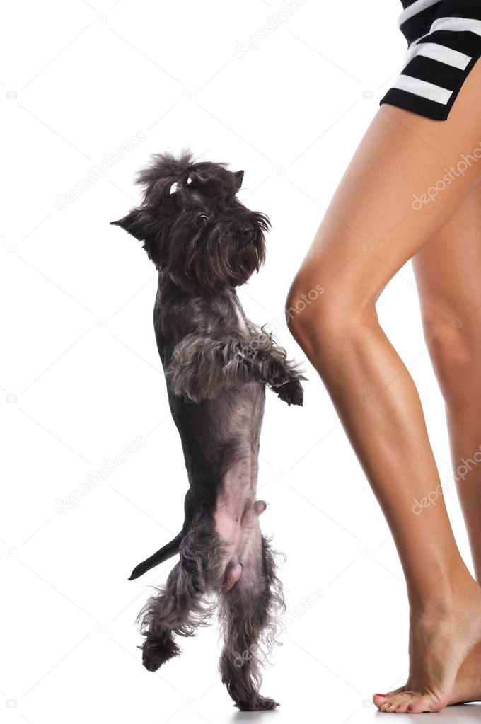 Dancing dog and woman