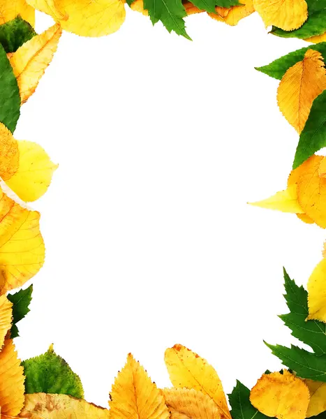 Herbstlicher Rahmen aus Blättern — Stockfoto