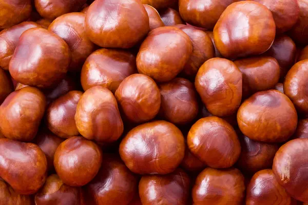 Chestnut background — Stock Photo, Image
