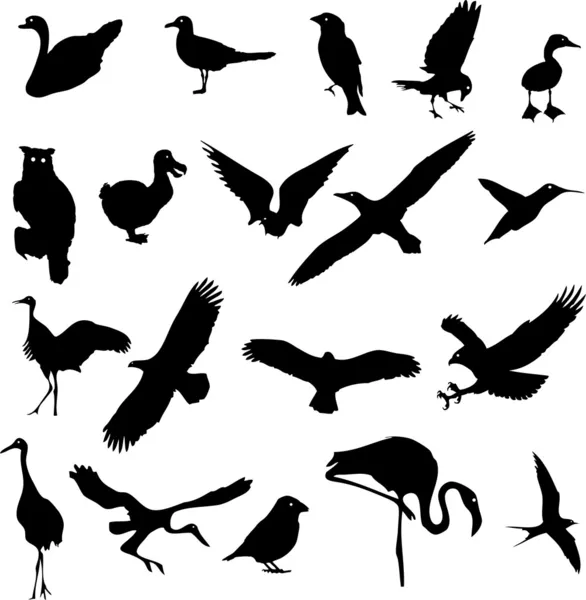 Bird silhouettes collection — Stock Vector © huhulin #7678379