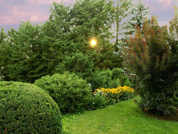 Tramonto in un bel giardino — Foto Stock