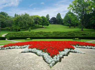 renkli flowerbed