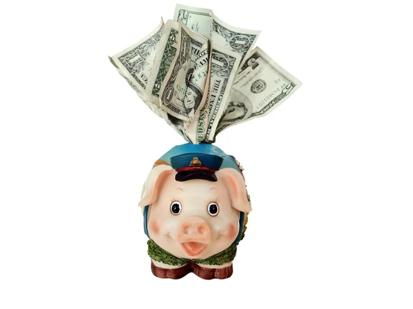 Overstuffed funny piggy bank — Stock Photo, Image