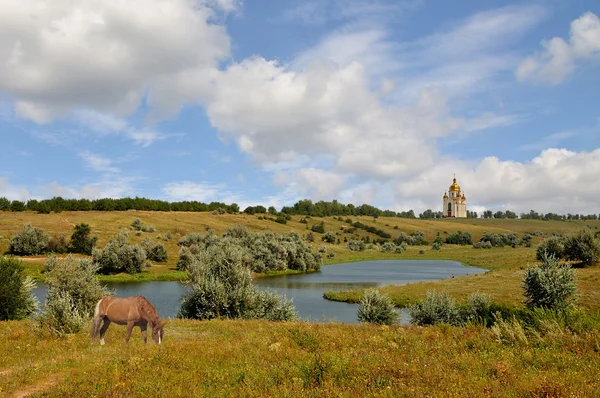Rurale landschap met paard — Stockfoto