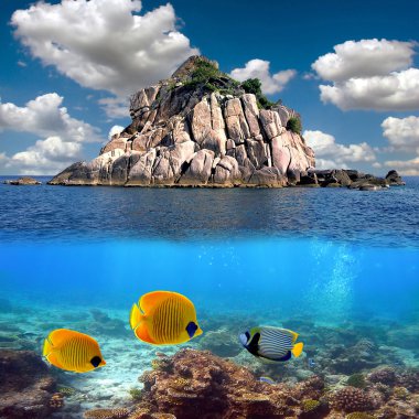 Tropical paradise and corals on a reef top