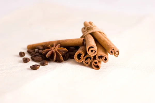Kávová zrna a koření — Stock fotografie