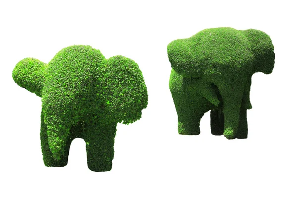 Elephant topiary — Stock Photo, Image