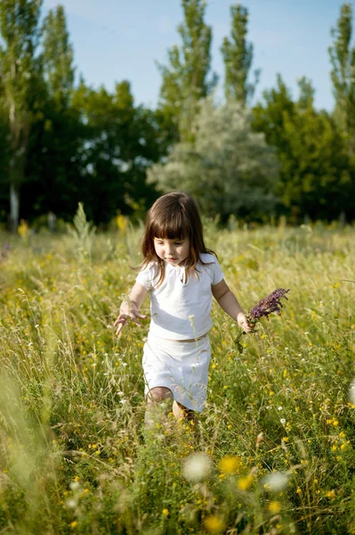 küçük kız holding çiçekler