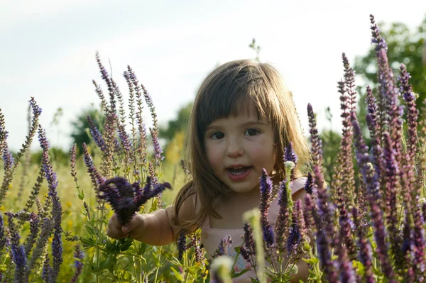 Μικρό κορίτσι εκμετάλλευση λουλούδια Royalty Free Εικόνες Αρχείου