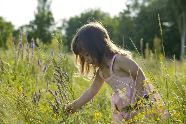Little girl gazdaság virágok Stock Kép