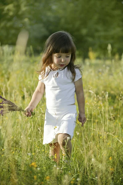 小さな女の子は花を持つ ロイヤリティフリーのストック画像