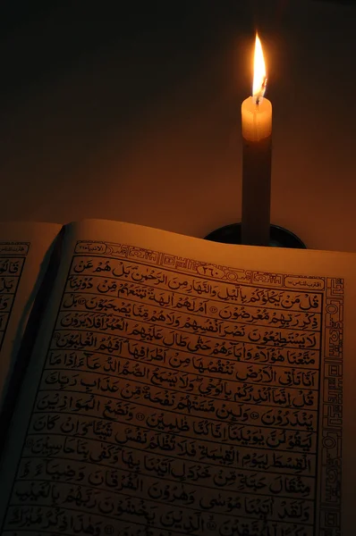 Холлі Корану — стокове фото
