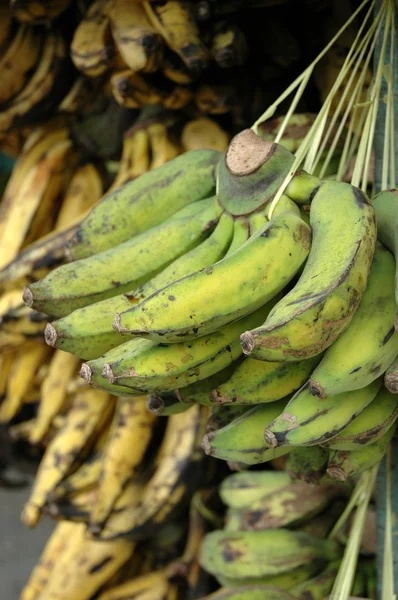 stock image Banana