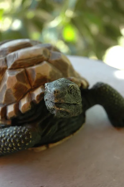 Steinschildkrötenstatue — Stockfoto