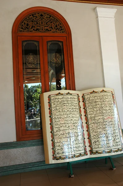 Холлі Корану — стокове фото