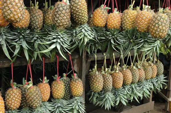 Ananassi — Foto Stock