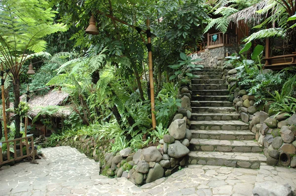 Tropická zahrada — Stock fotografie