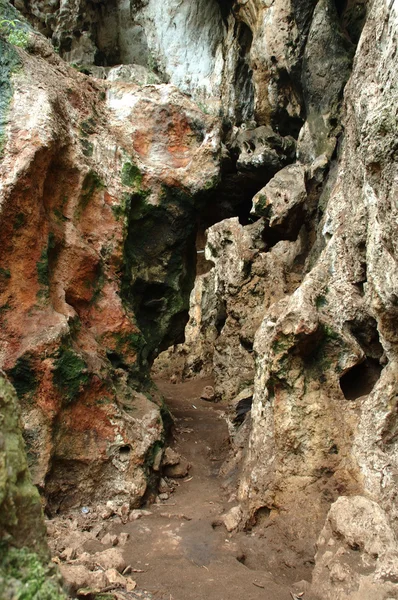 Pawon Mağarası — Stok fotoğraf