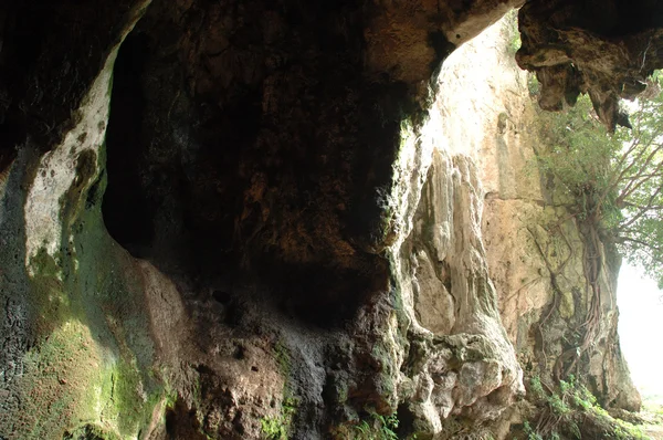 Павонская пещера — стоковое фото