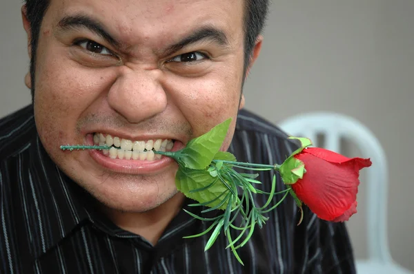 Hombre mordiendo una rosa —  Fotos de Stock