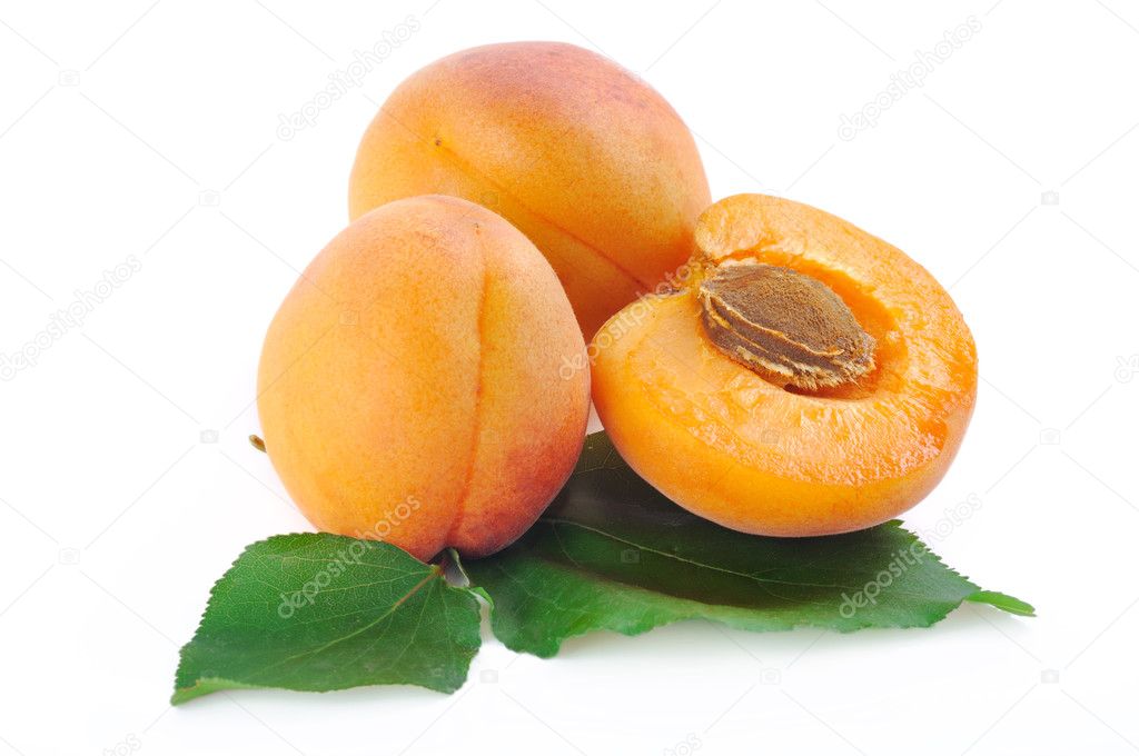 Three apricot on a white background