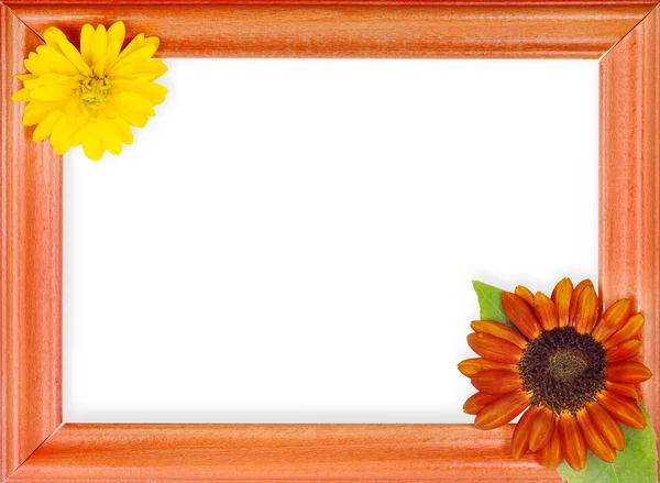 Frame met 2 bloemen — Stockfoto