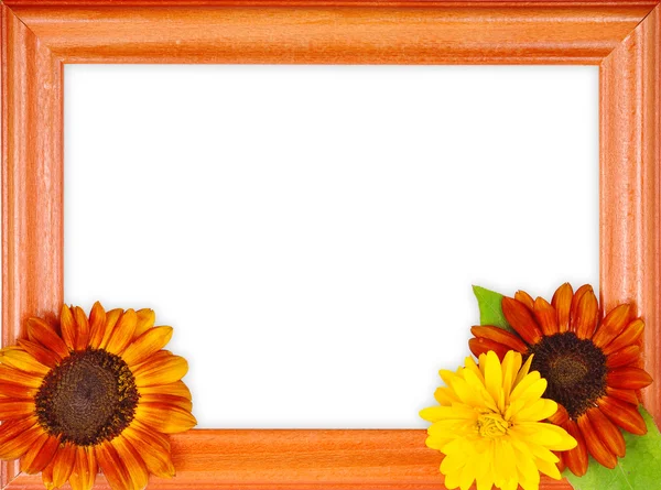 Rahmen mit 3 Blumen — Stockfoto