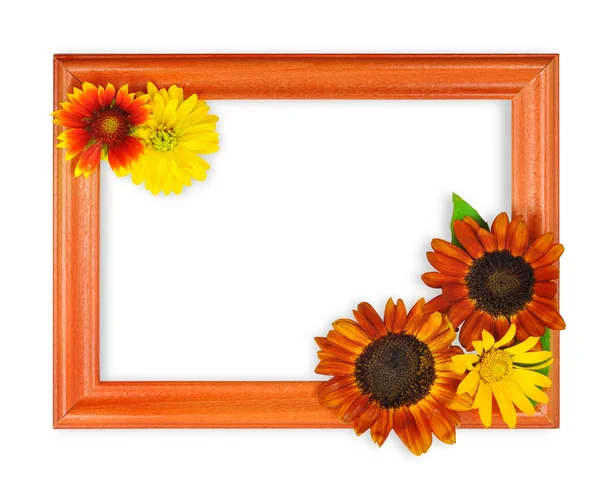 Frame met 3 bloemen 3 — Stockfoto